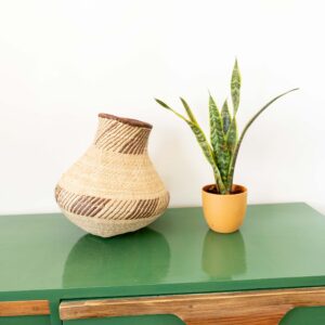 Outdoor Plant Baskets to Buy in Kenya